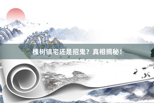 槐树镇宅还是招鬼？真相揭秘！