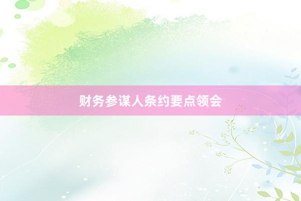 财务参谋人条约要点领会
